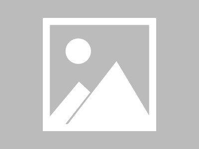 探索沈阳信息技术咨询招聘网，找到理想的工作机会